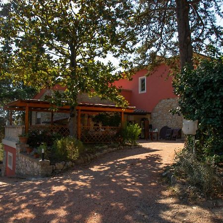 Agriturismo Terre Della Rinascita Castelnuovo della Misericordia Kültér fotó