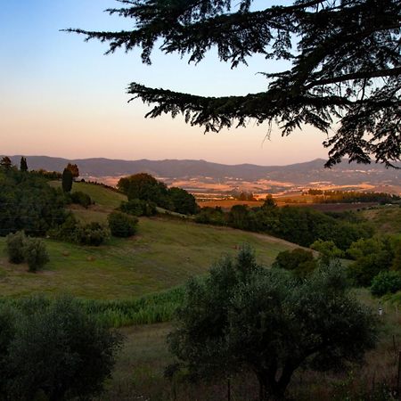 Agriturismo Terre Della Rinascita Castelnuovo della Misericordia Kültér fotó