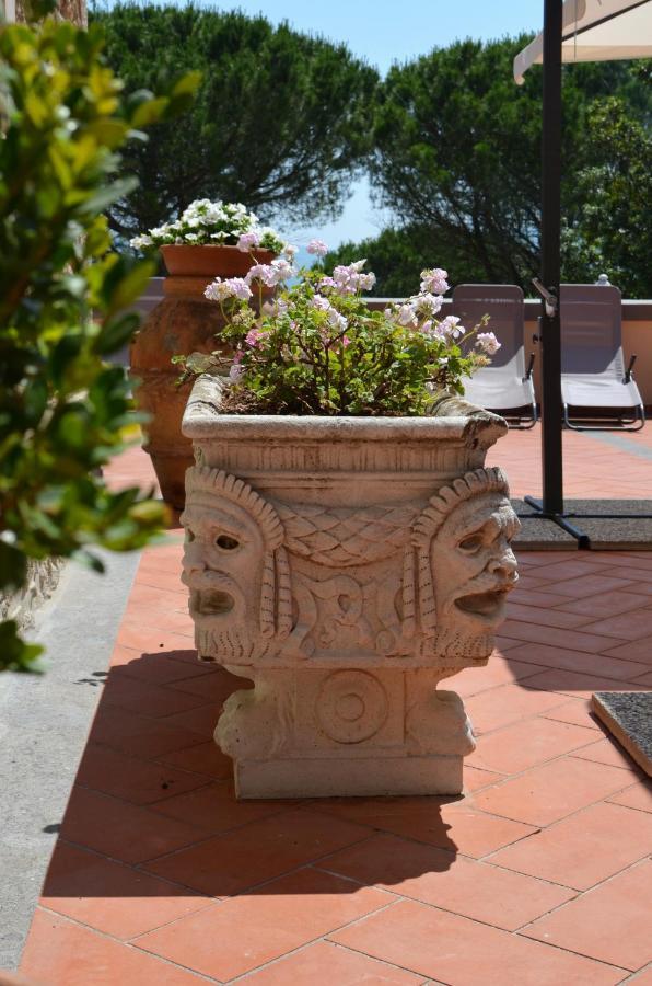 Agriturismo Terre Della Rinascita Castelnuovo della Misericordia Kültér fotó