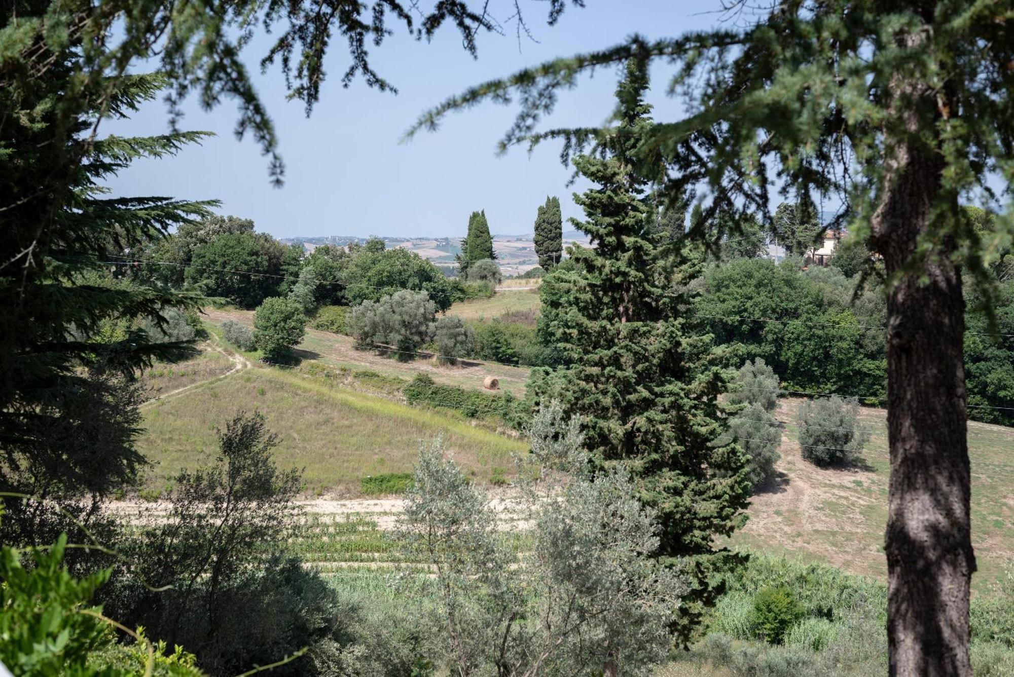 Agriturismo Terre Della Rinascita Villa Castelnuovo della Misericordia Kültér fotó