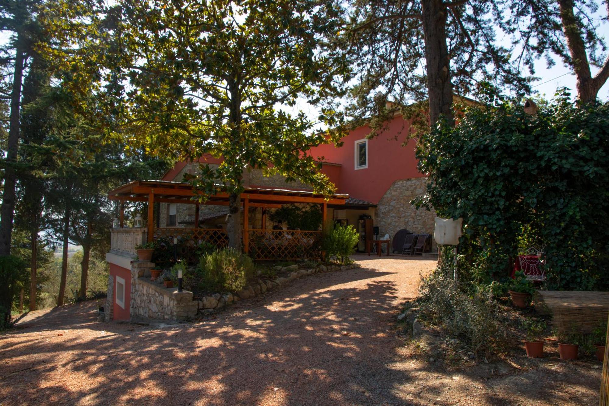 Agriturismo Terre Della Rinascita Castelnuovo della Misericordia Kültér fotó