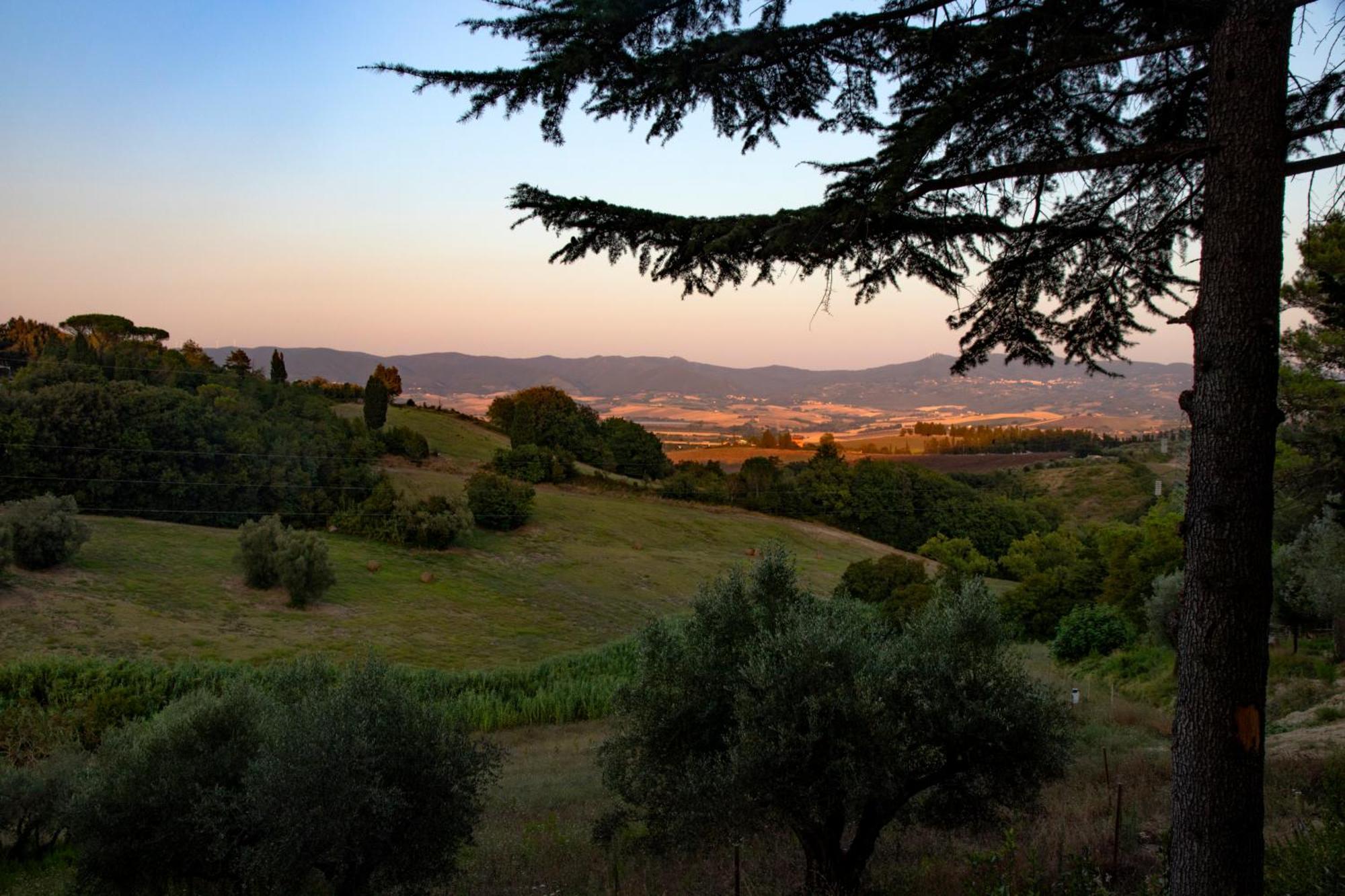 Agriturismo Terre Della Rinascita Villa Castelnuovo della Misericordia Kültér fotó