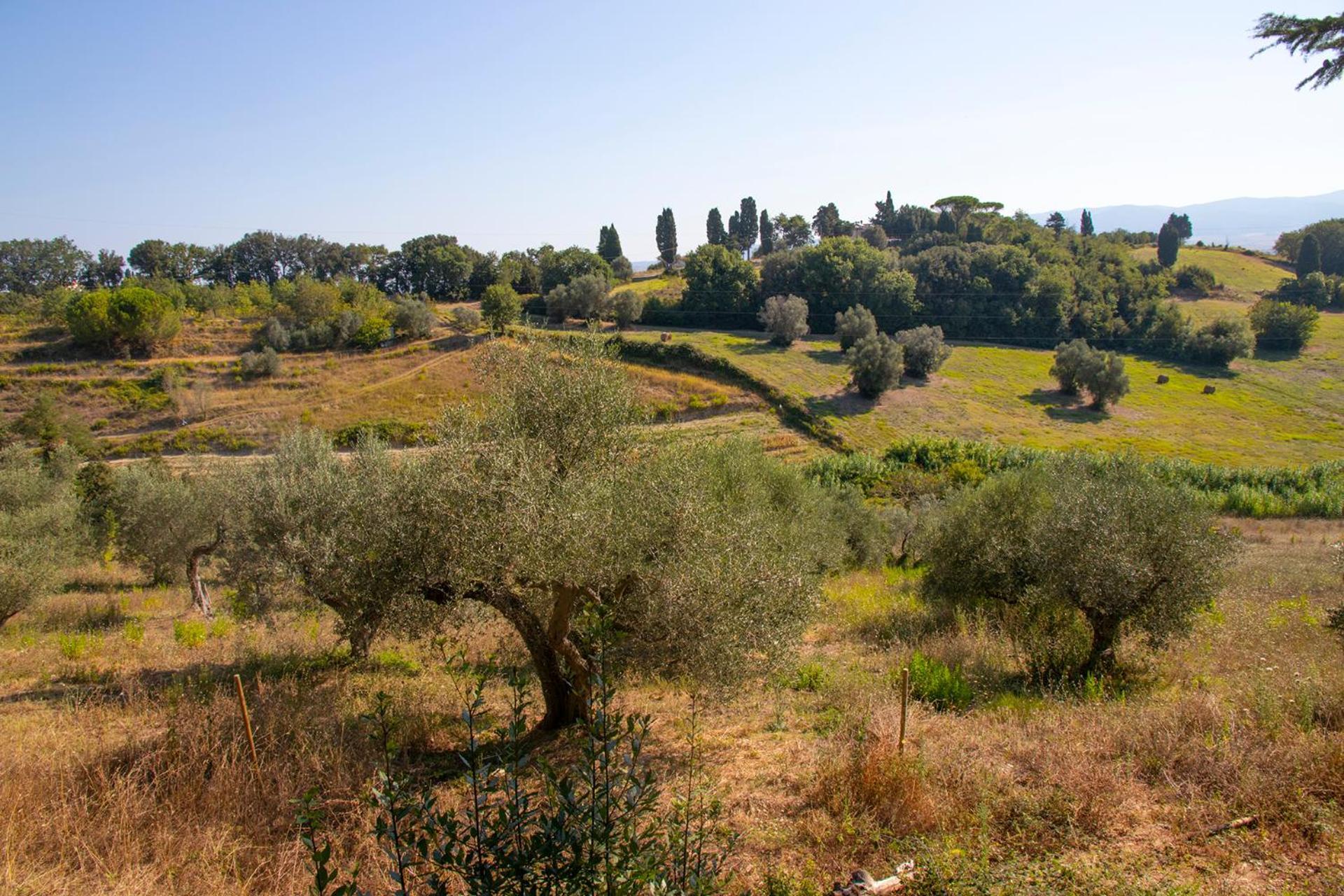 Agriturismo Terre Della Rinascita Castelnuovo della Misericordia Kültér fotó