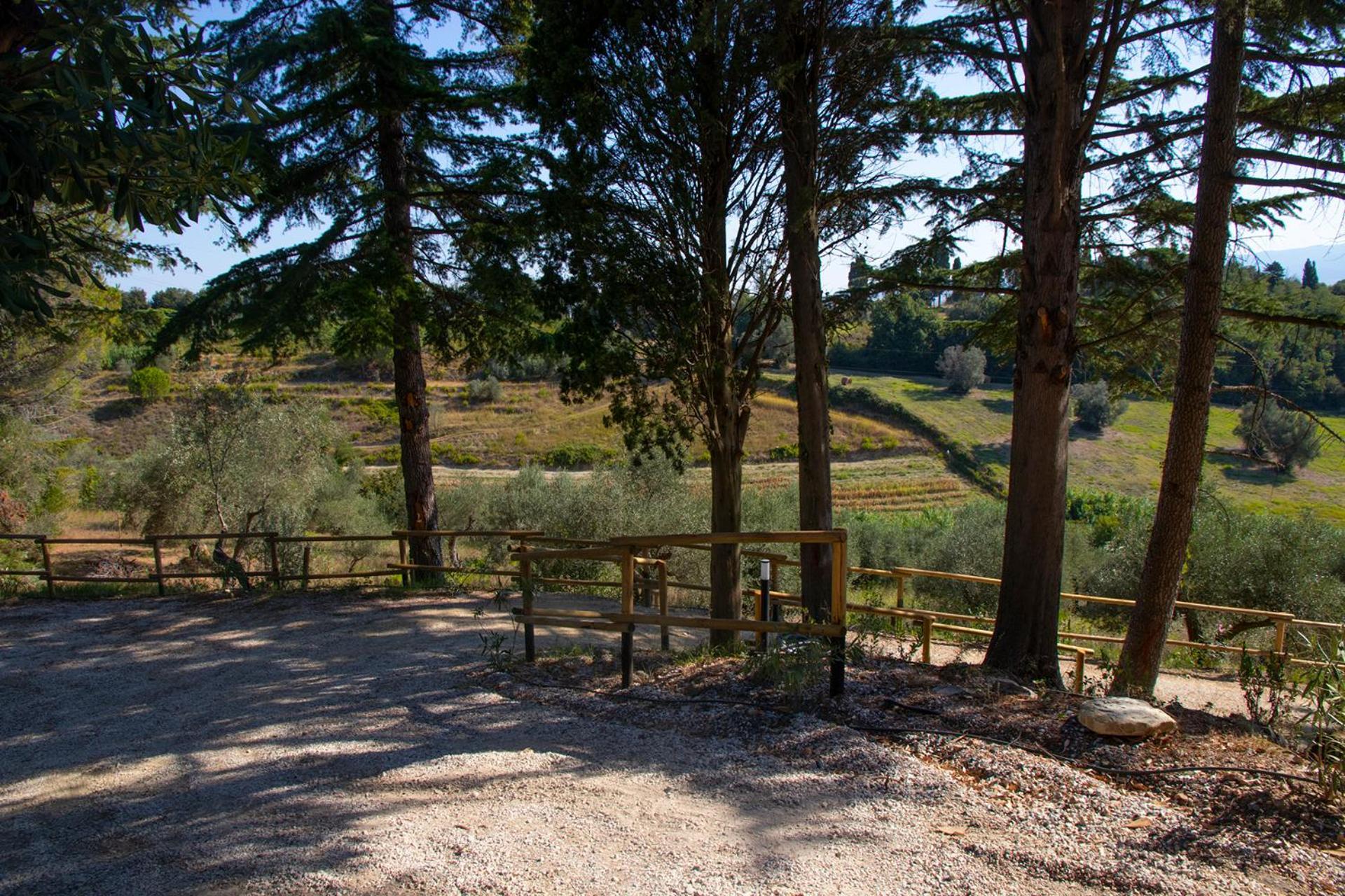 Agriturismo Terre Della Rinascita Castelnuovo della Misericordia Kültér fotó