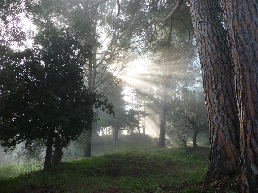 Agriturismo Terre Della Rinascita Castelnuovo della Misericordia Kültér fotó